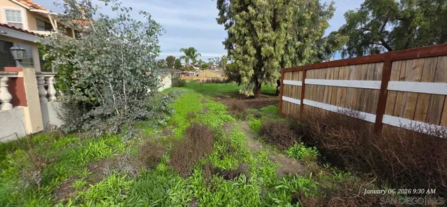 a view of a backyard