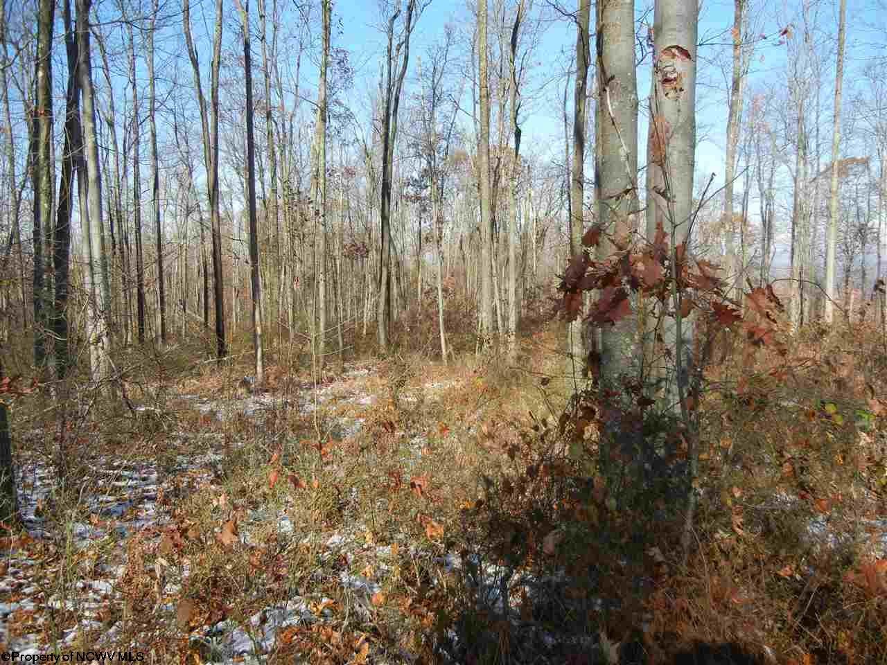 2101 Halleck Road Independence, WV 26374 - Photo 13 of 19 Gallery Image 13