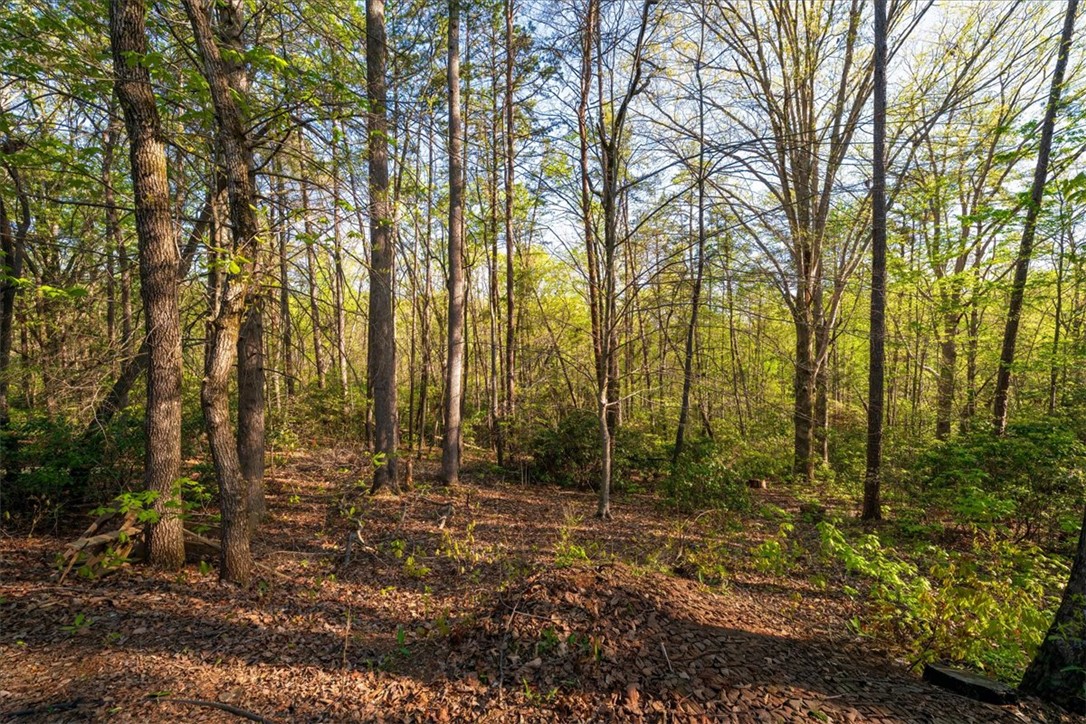 930 Nimmons Bridge Road Salem, SC 29676 - Photo 11 of 19 This tranquil wooded lot offers a serene retreat amidst nature's embrace, perfect for a private sanctuary.