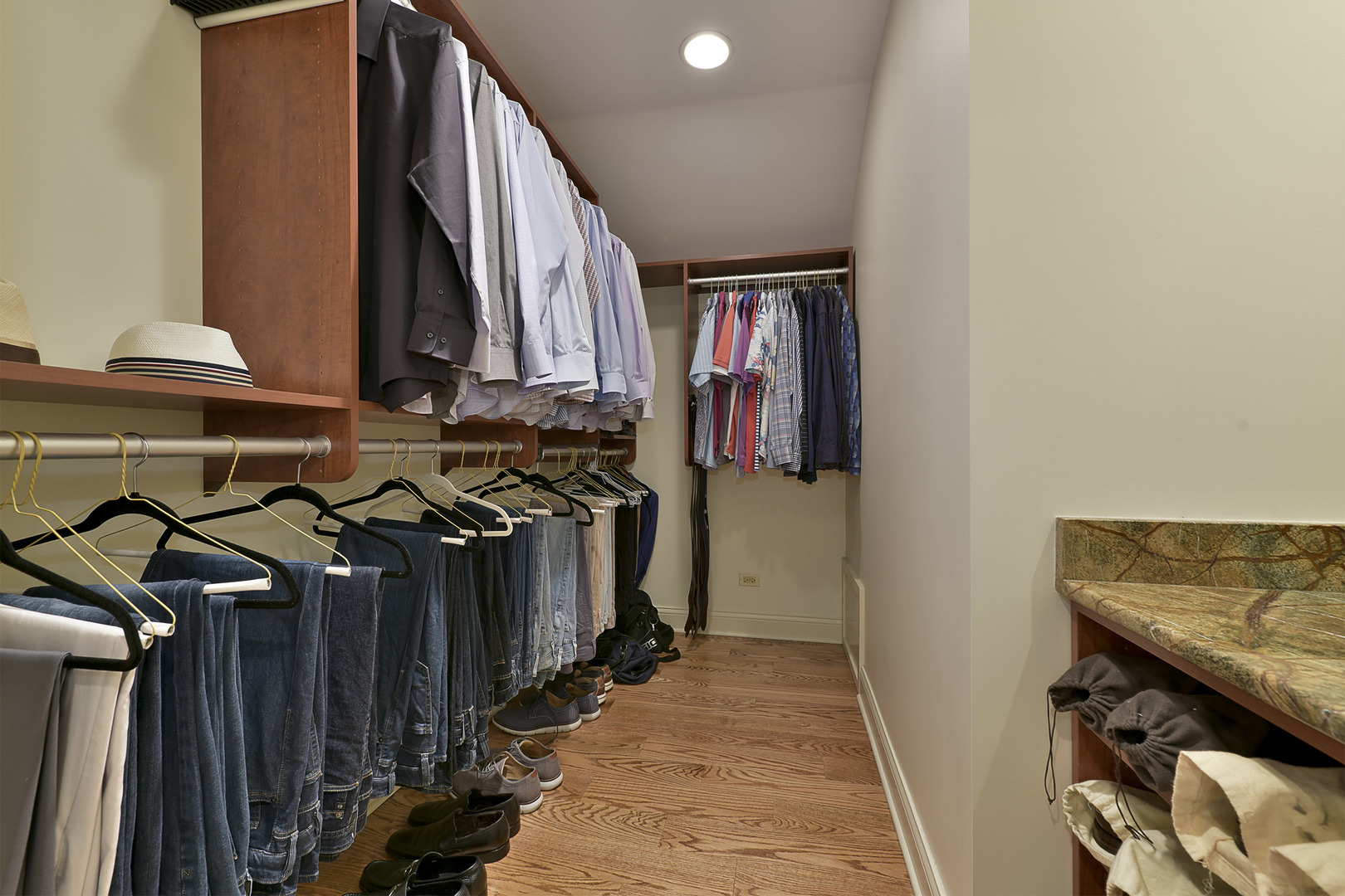 1720 Firth Road Inverness, IL 60067 - Photo 19 of 34 a view of walk in closet with clothes and shoes