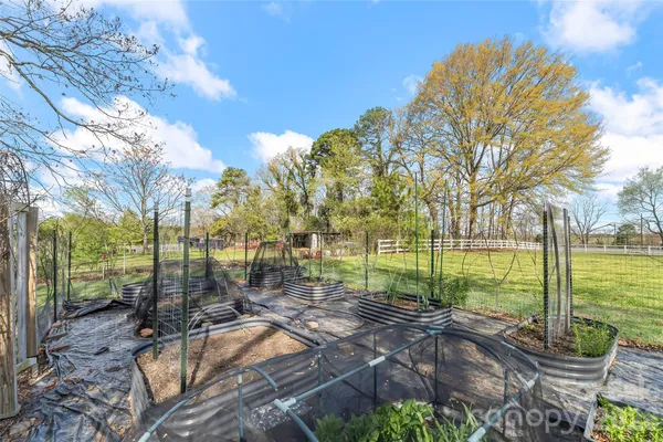 a backyard of apartments with large trees