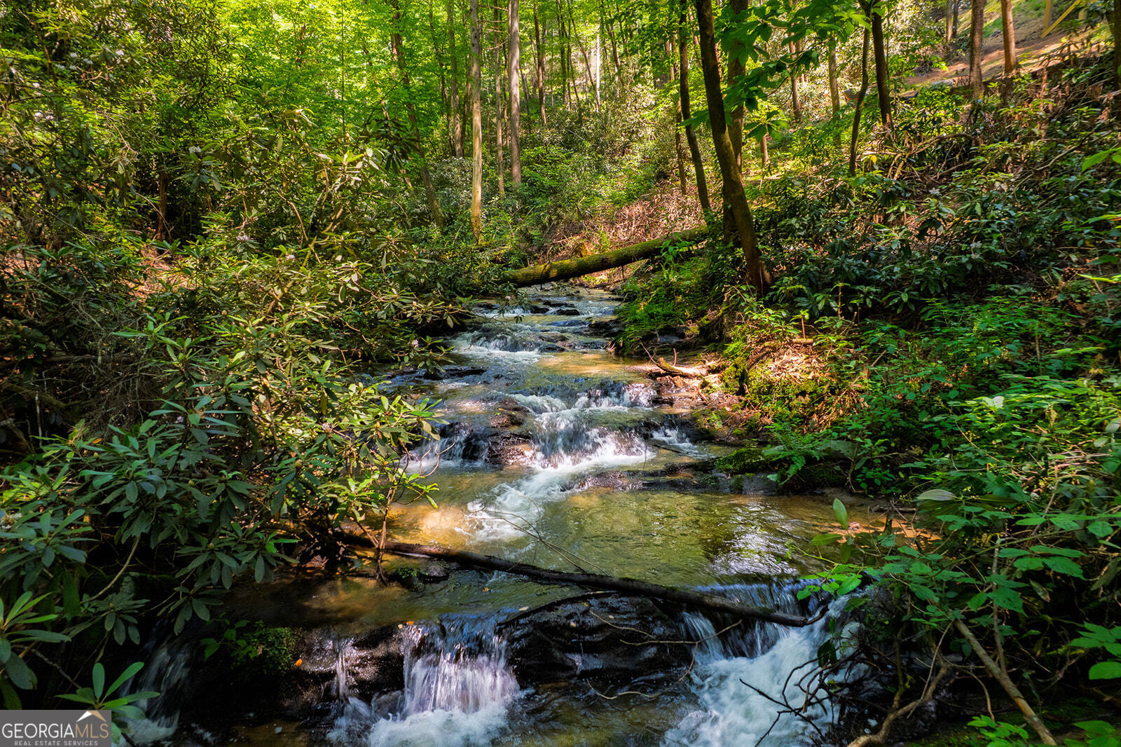 122 Laurel Creek Trail Blue Ridge, GA 30513 - Photo 11 of 18 a view of lake from a house