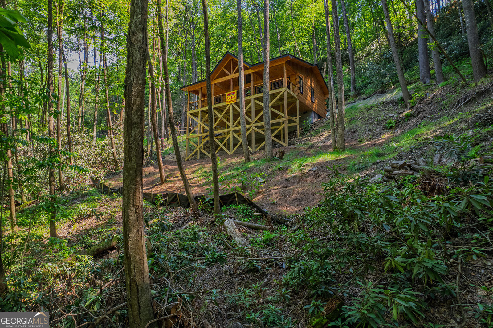 122 Laurel Creek Trail Blue Ridge, GA 30513 - Photo 12 of 18 a view of a yard with plants and trees