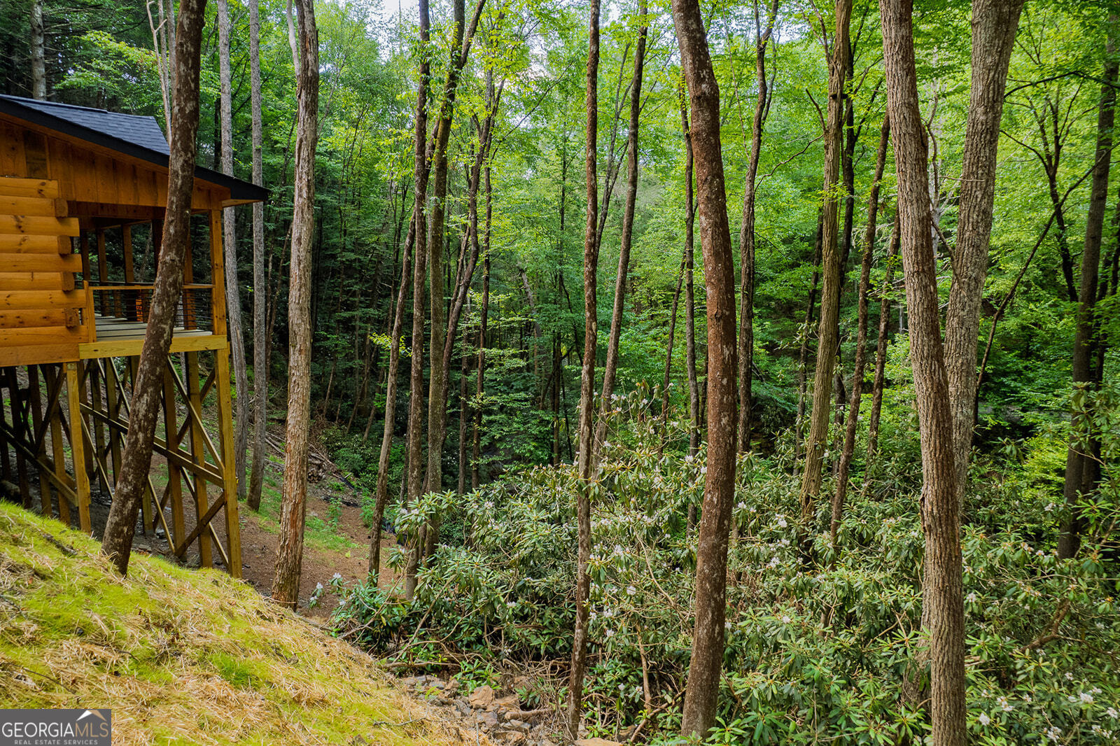 122 Laurel Creek Trail Blue Ridge, GA 30513 - Photo 18 of 18 a view of outdoor space and garden