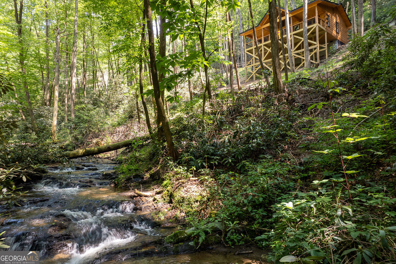 122 Laurel Creek Trail Blue Ridge, GA 30513 - Photo 8 of 18 a view of a yard with a tree