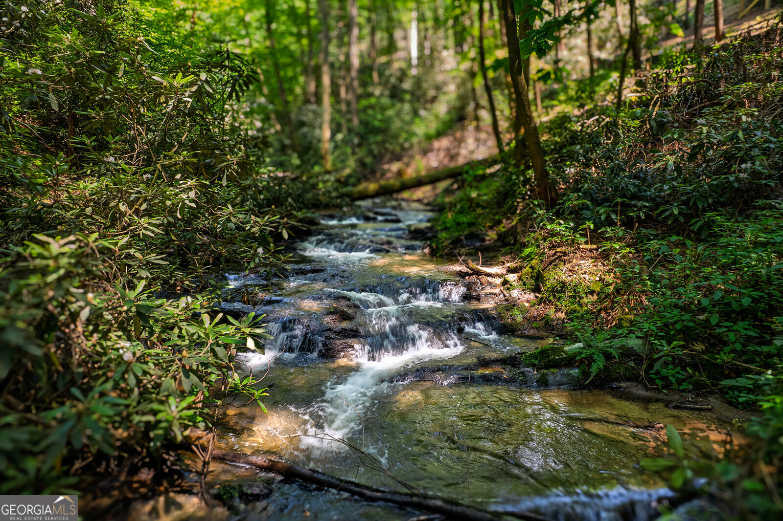 122 Laurel Creek Trail Blue Ridge, GA 30513 - Photo 9 of 18