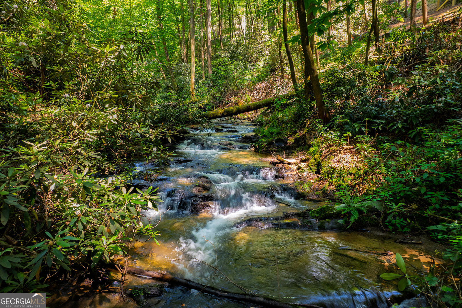 122 Laurel Creek Trail Blue Ridge, GA 30513 - Photo 10 of 18 a view of a yard