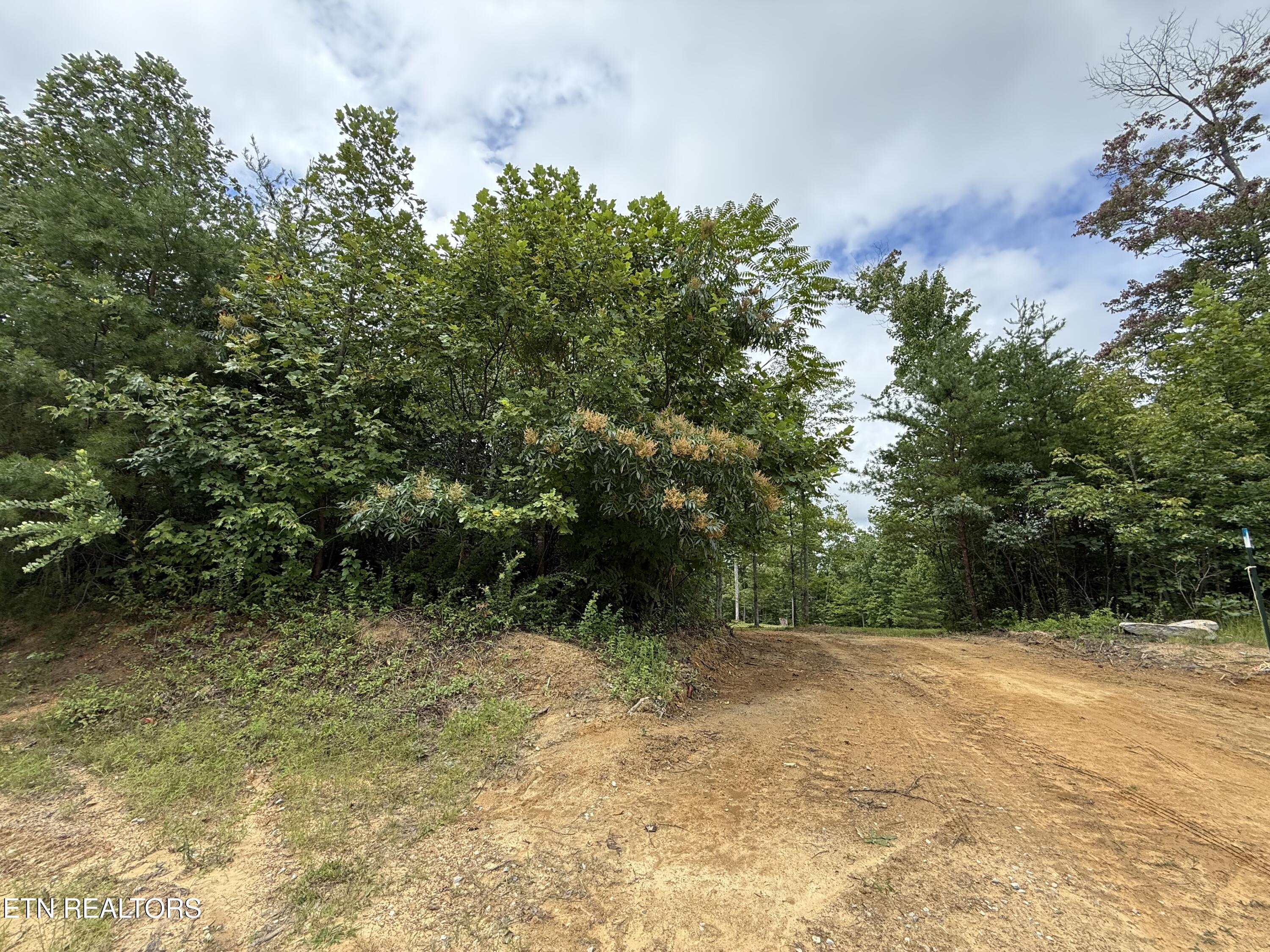 Clifty Creek Road Winfield, TN 37892 - Photo 4 of 11 IMG_6790