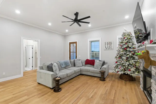 a living room with furniture and a potted plant