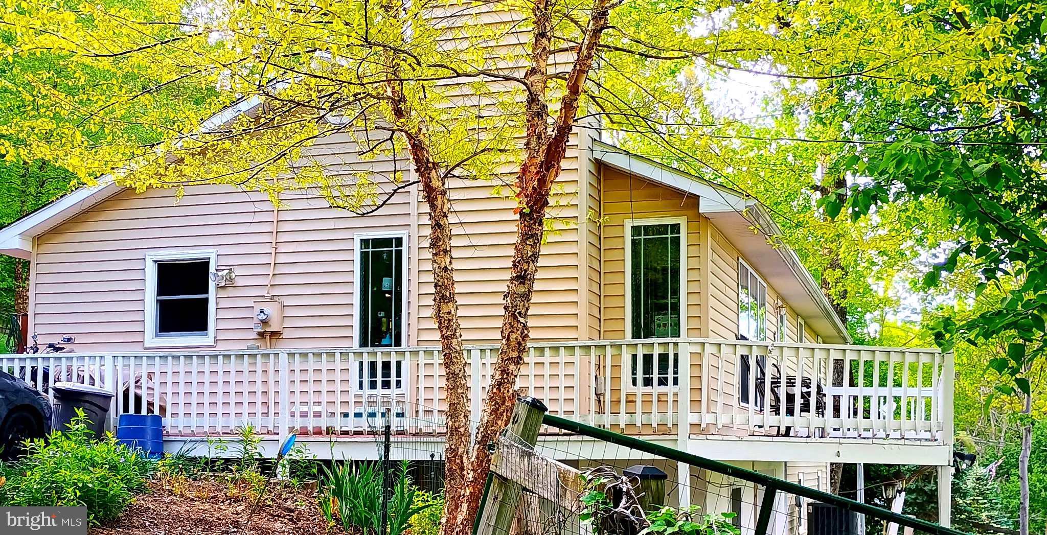 147 Blue Ridge Avenue Chester Gap, VA 22623 - Photo 2 of 46