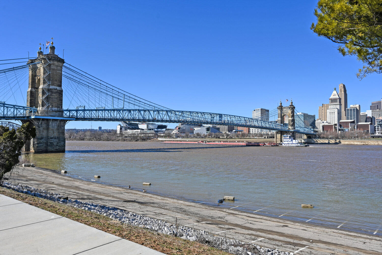 229 Riverside Drive, Unit 1F Covington, KY 41011 - Photo 40 of 40 229RiversideDr1F_49