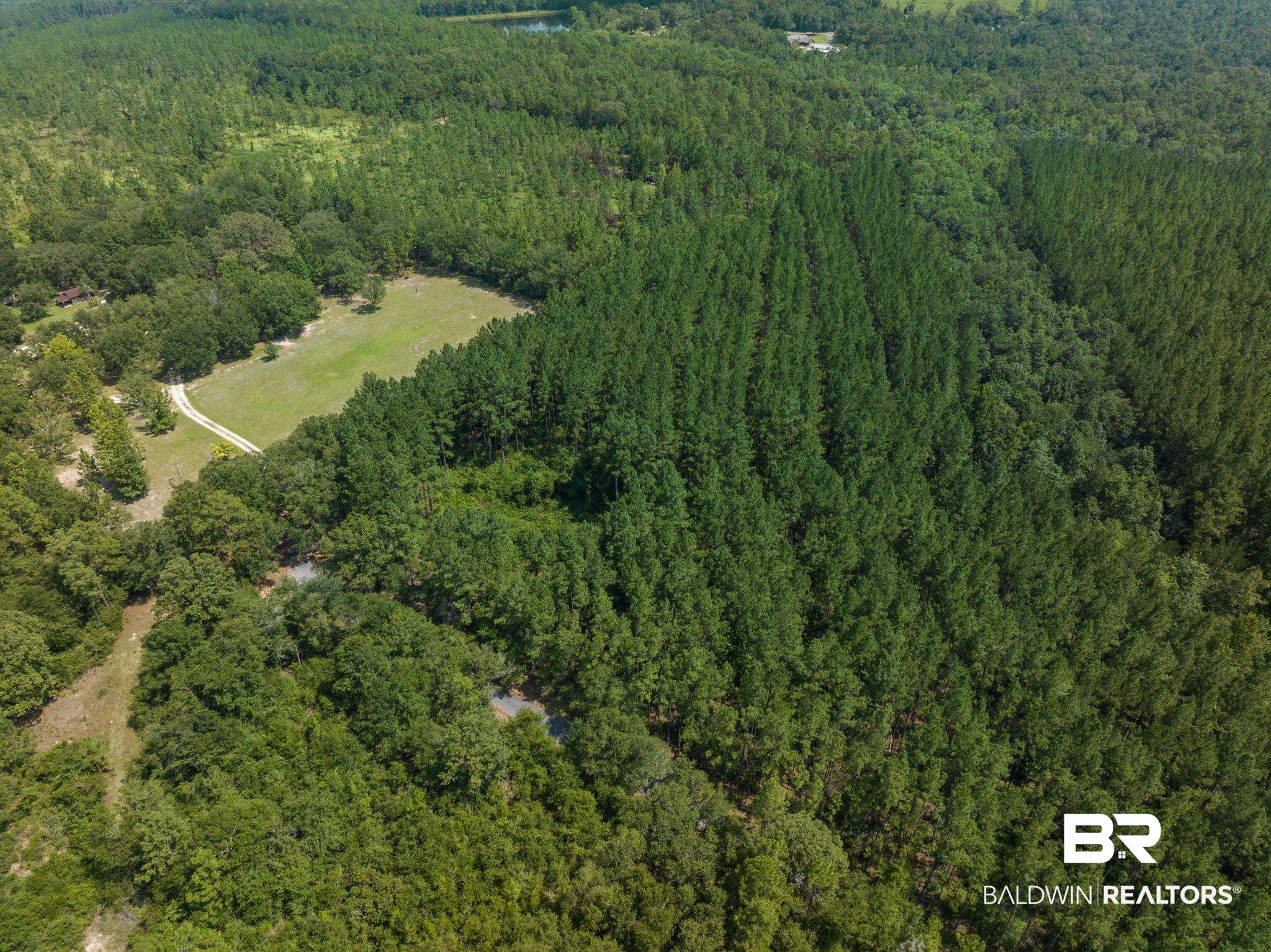 0 Old Hubbard Road Bay Minette, AL 36507 - Photo 7 of 7
