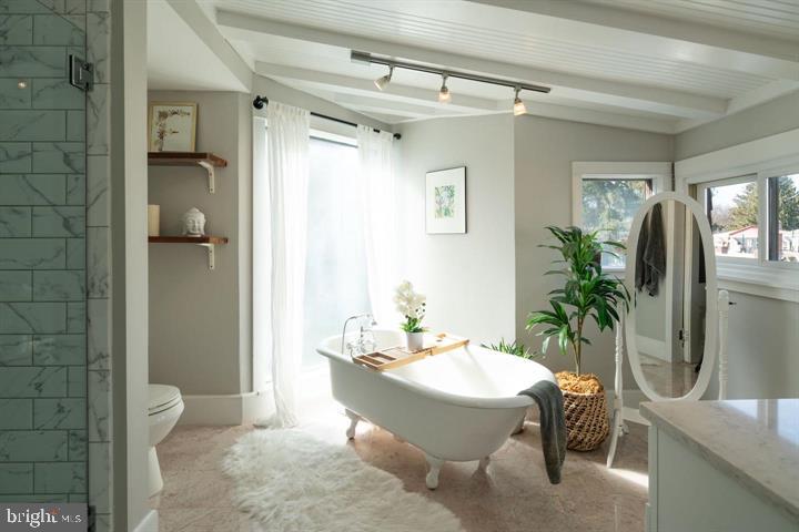 229 Benezet Street Philadelphia, PA 19118 - Photo 21 of 31 a living room with furniture and a potted plant