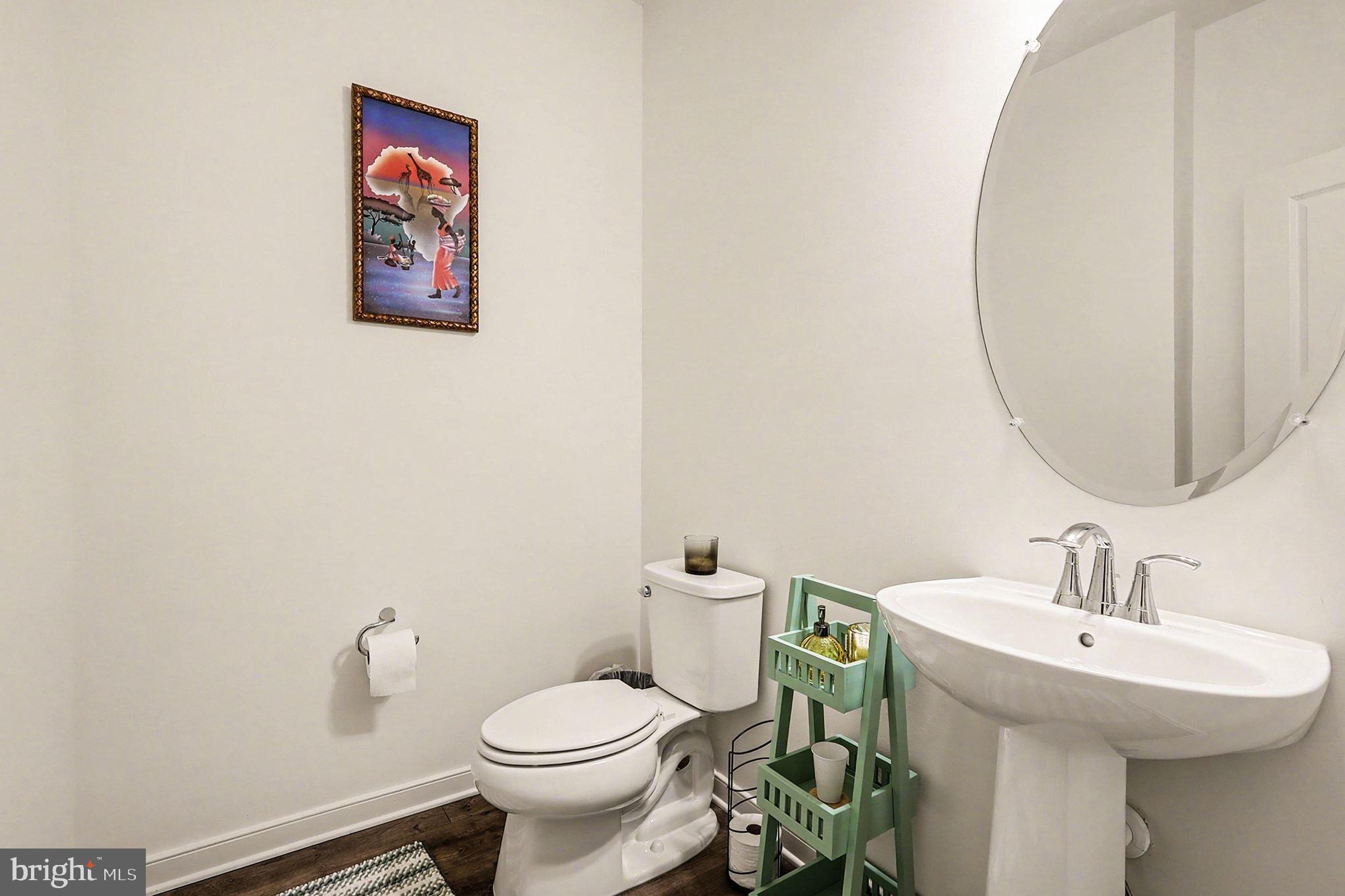 45956 Swallow Terrace Sterling, VA 20165 - Photo 21 of 29 Powder room