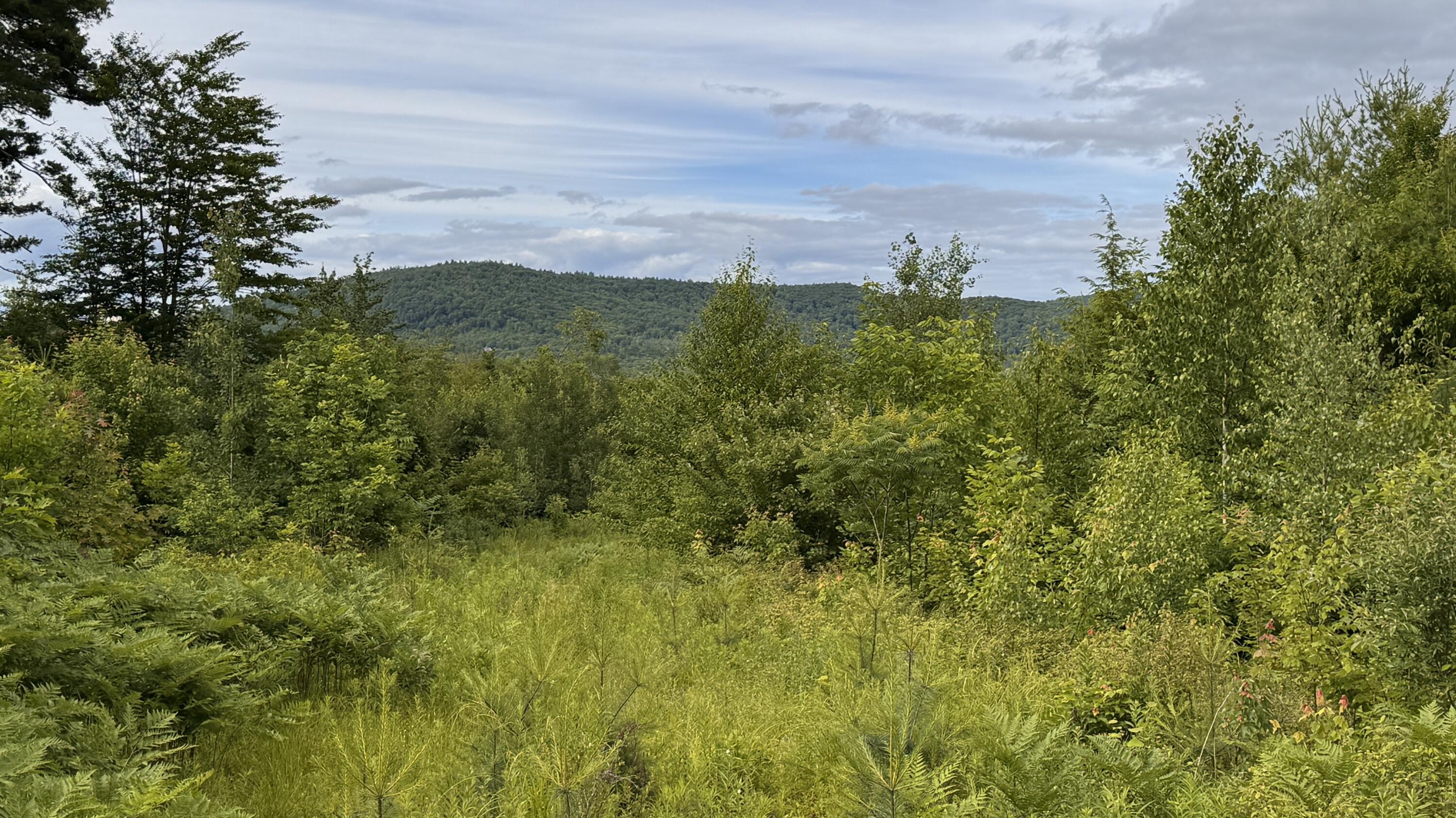 L52 Bridgton Road Harrison, ME 04040 - Photo 4 of 29