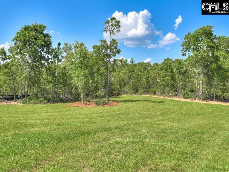 644 Old Charleston Road Pelion, SC 29123 - Photo 31 of 31 Gallery Image 31