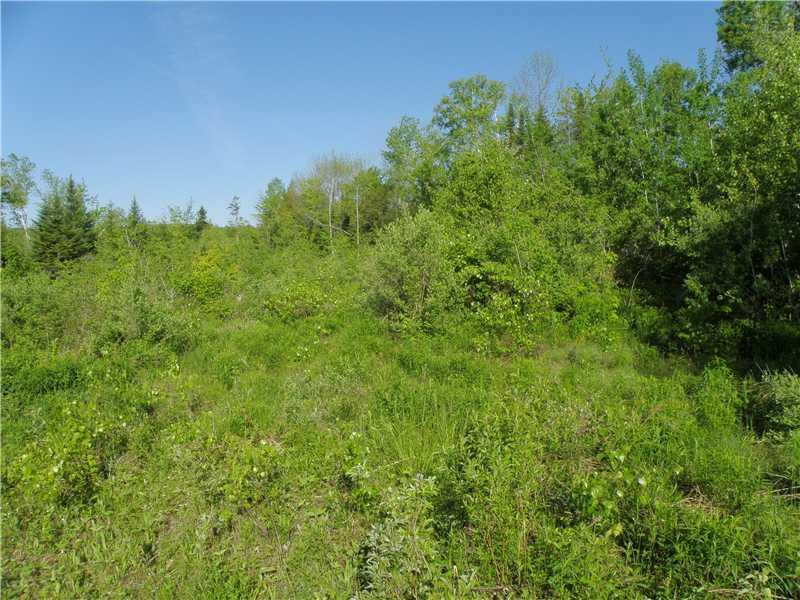 0 Todds Corner Road Ripley, ME 04930 - Photo 5 of 7 Land. interior