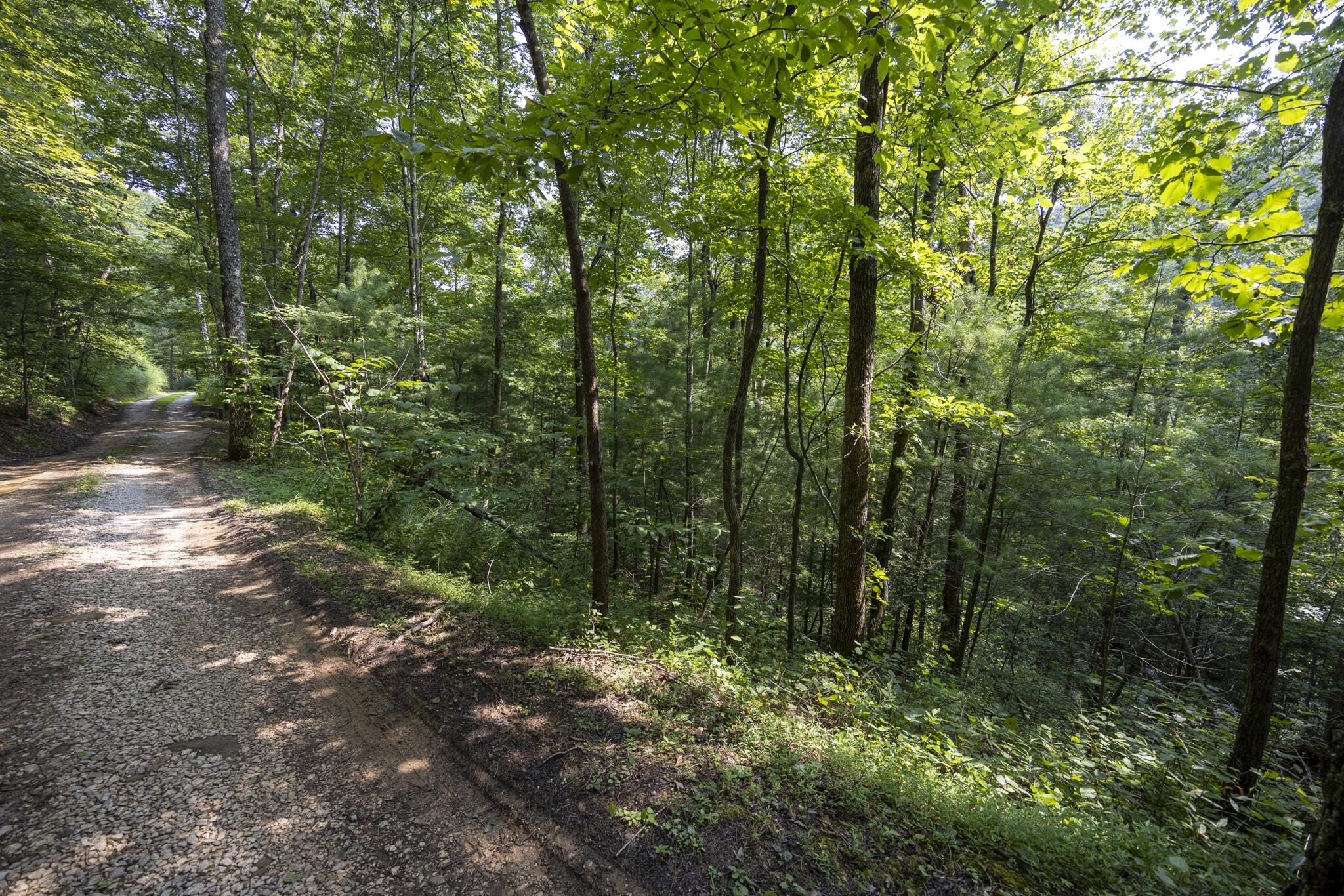 Lot 2 Cave Hollow Road Zoe, KY 41397 - Photo 16 of 29 Appalachian Media-16