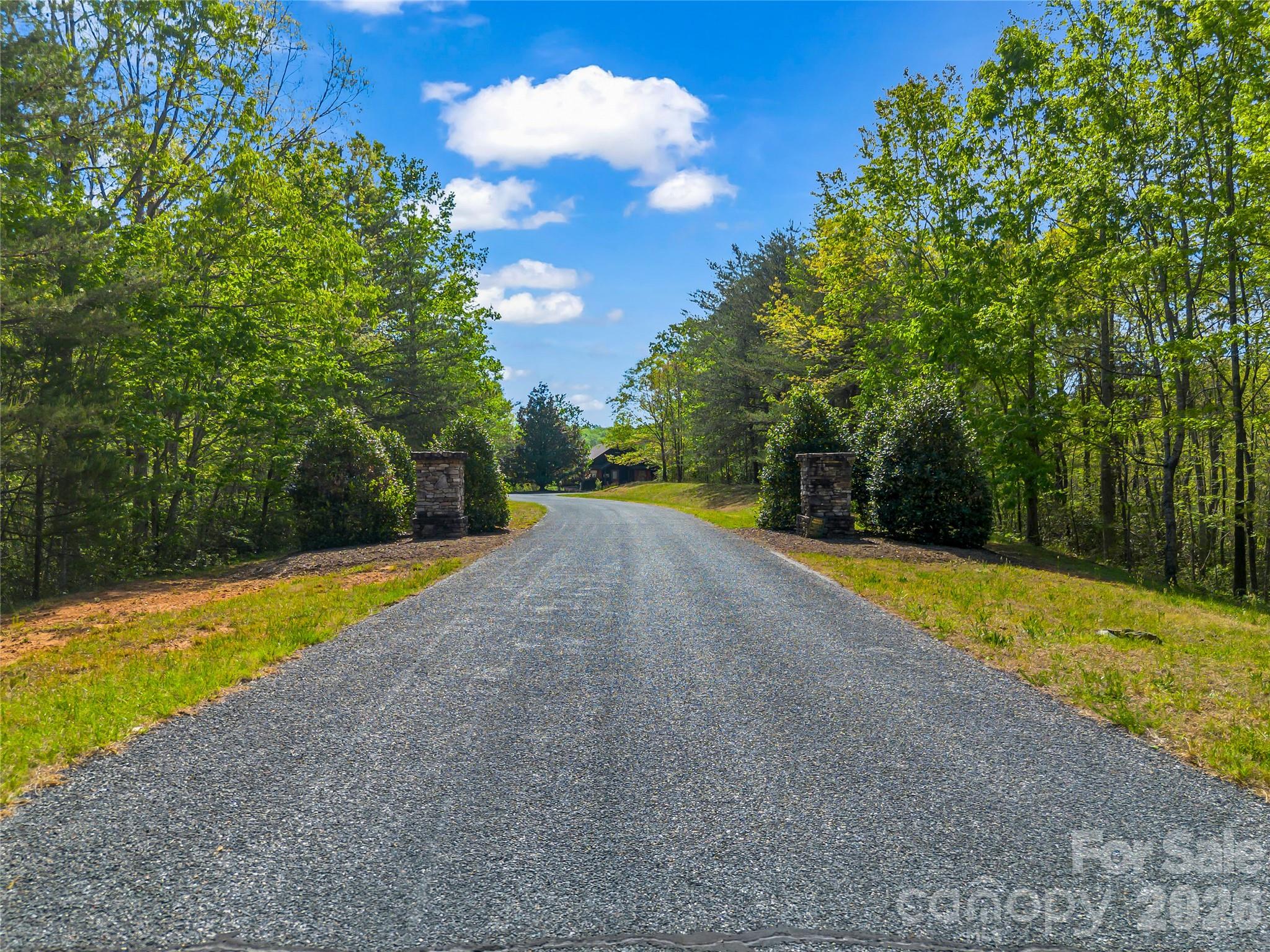 454 Fallen Tree Lane Mill Spring, NC 28756 - Photo 2 of 28