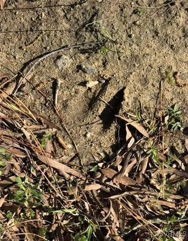 $97,500 | 0 Old Stage Road, Freeman, VA 23856