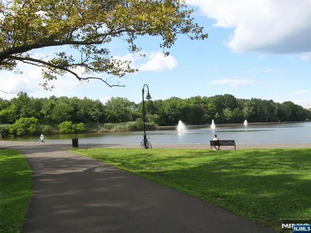 a park view with plants and large trees