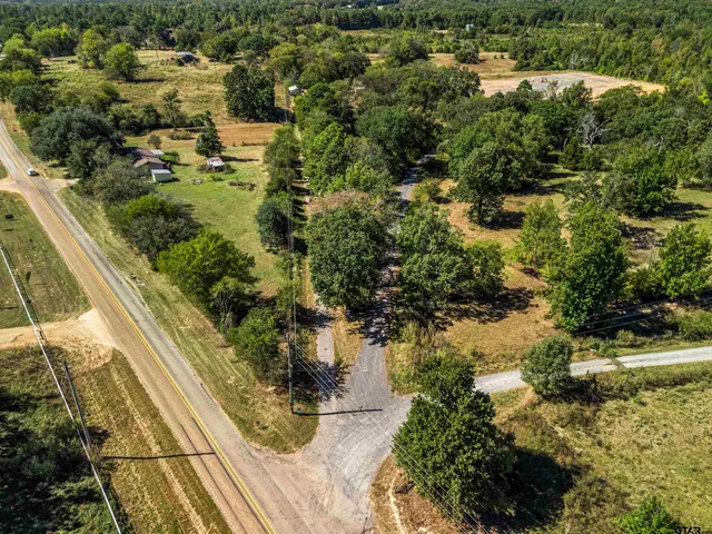 an aerial view of residential houses with outdoor space and trees