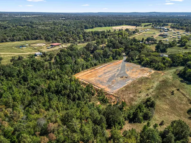 a view of a big yard with plants and large trees
