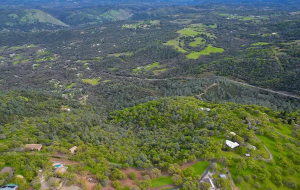 a view of a yard with plants