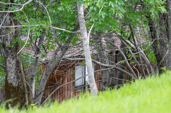 view of an outdoor space with a tree