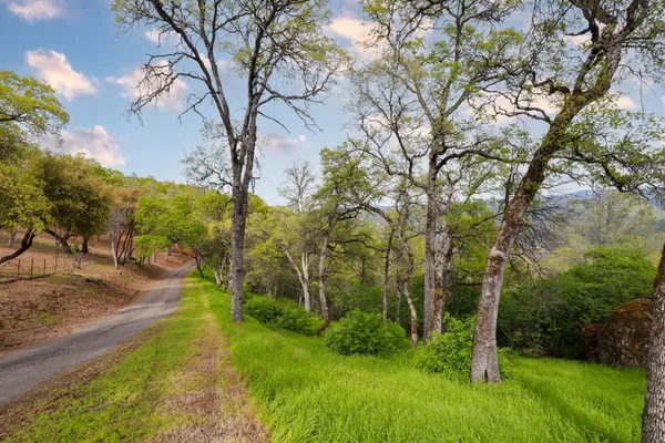 a view of an outdoor space