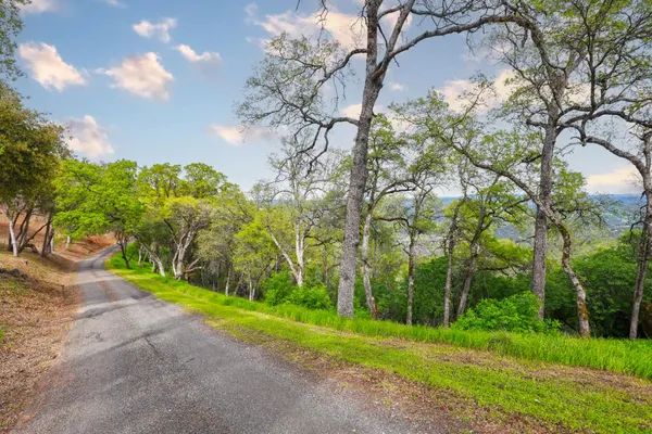 a backyard of a house with lots of green space