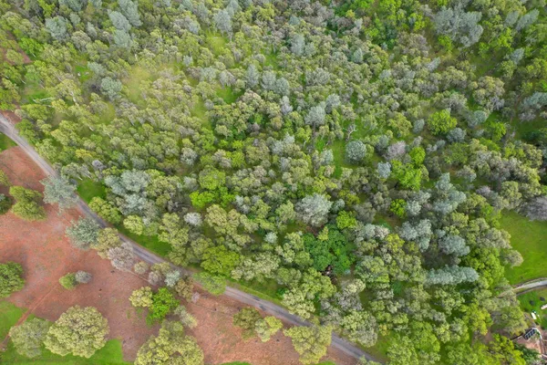 a view of a green field