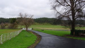 10606 East Woolard Road Colbert, WA 99005 - Photo 1 of 19