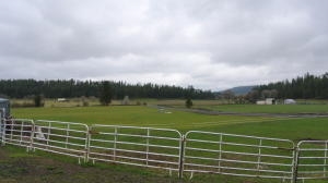 10606 East Woolard Road Colbert, WA 99005 - Photo 2 of 19