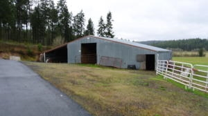 10606 East Woolard Road Colbert, WA 99005 - Photo 3 of 19