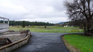 10606 East Woolard Road Colbert, WA 99005 - Photo 7 of 19
