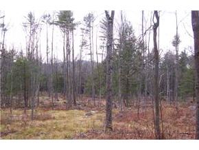 Lot 6 Kast Hill Road Hopkinton, NH 03229 - Photo 3 of 3