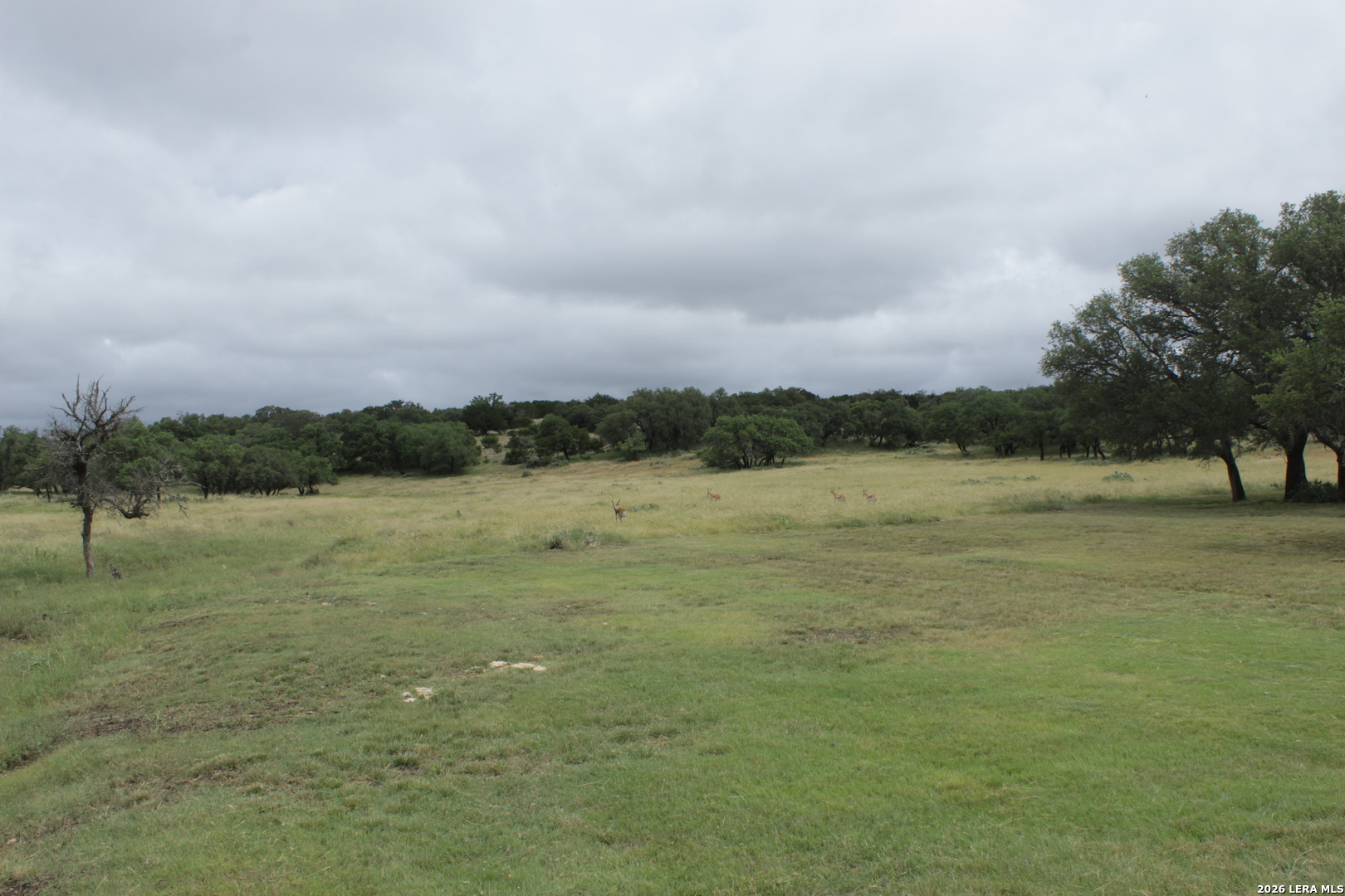 12700 Highway 83 Junction, TX 76849 - Photo 7 of 22