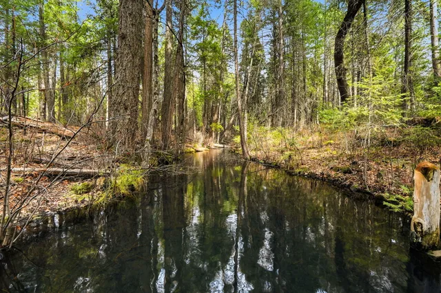 $629,900 | 7758 Hidden Meadows Road, Shingletown, CA 96088