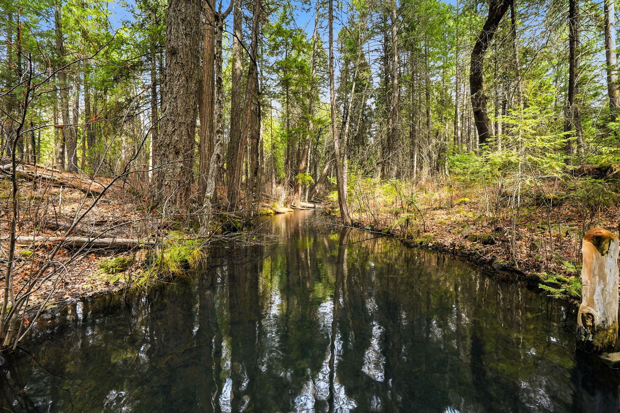 7758 Hidden Meadows Road Shingletown, CA 96088 - Photo 4 of 68 5-web-or-mls-IMG-05
