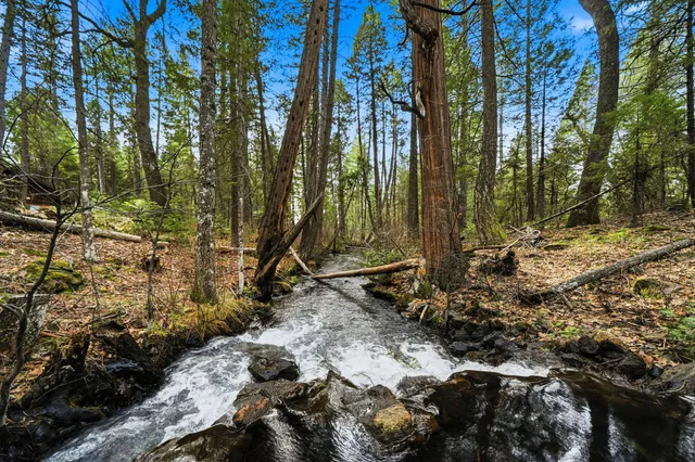 $629,900 | 7758 Hidden Meadows Road, Shingletown, CA 96088