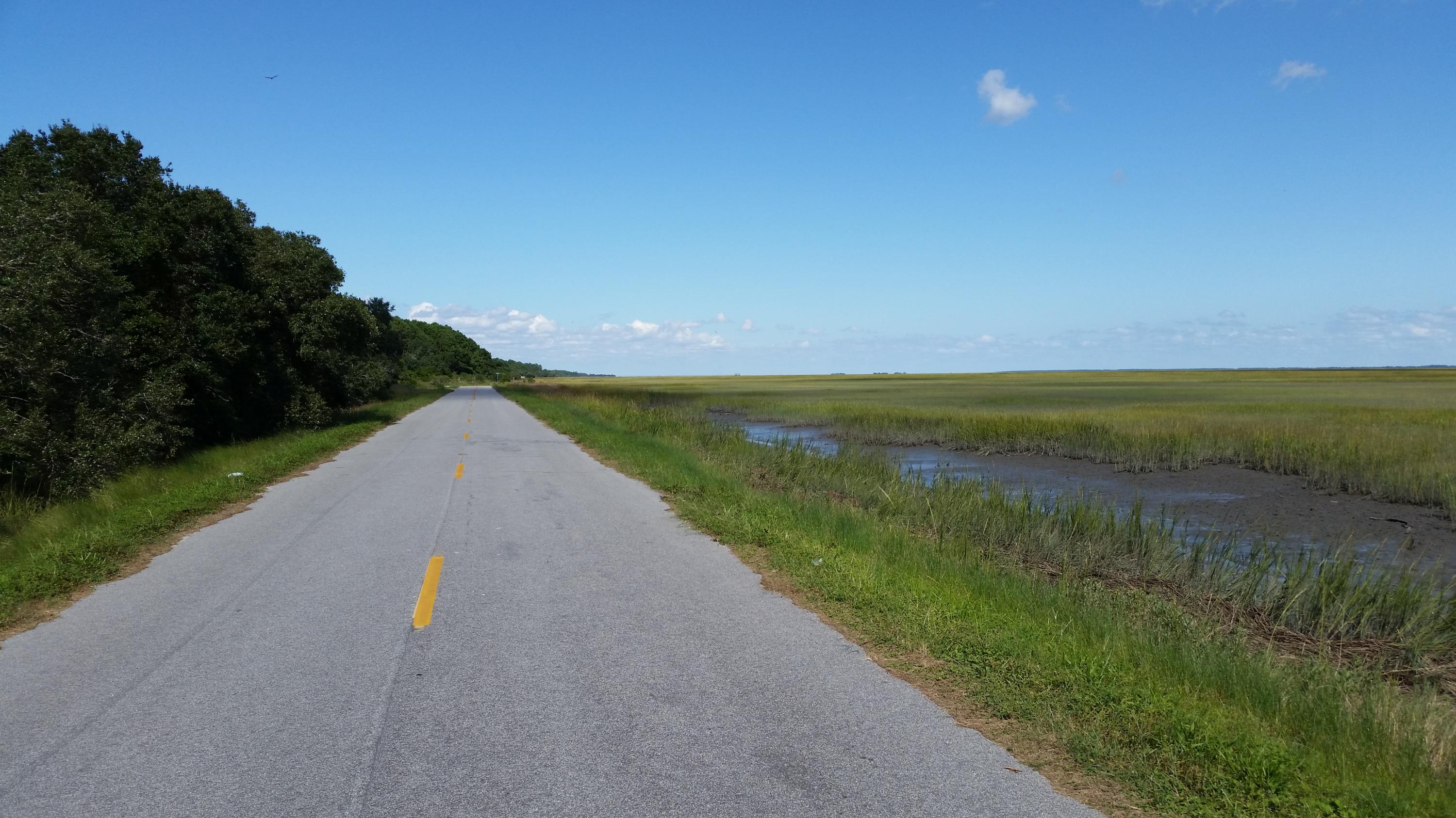 0 Seafood Road Mount Pleasant, SC 29429 - Photo 2 of 9 Seafood Lane North View