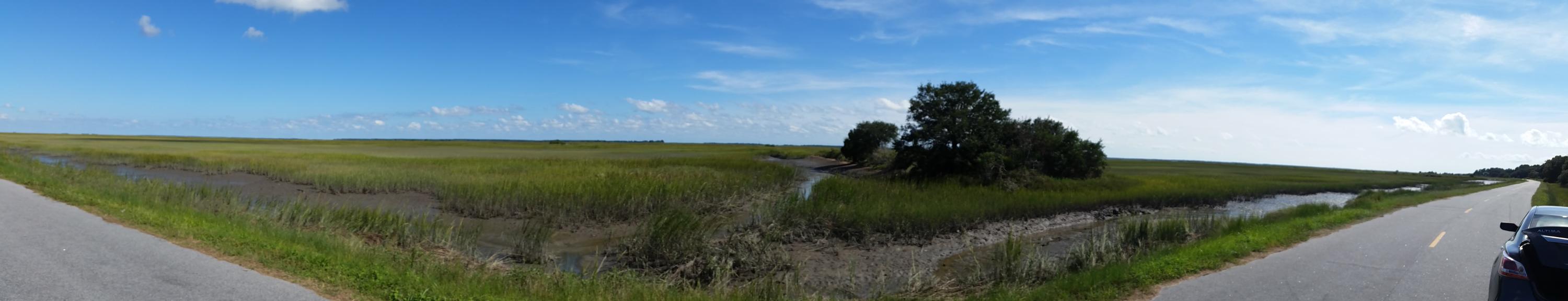 0 Seafood Road Mount Pleasant, SC 29429 - Photo 8 of 9 Seafood Lane Panoramic 2