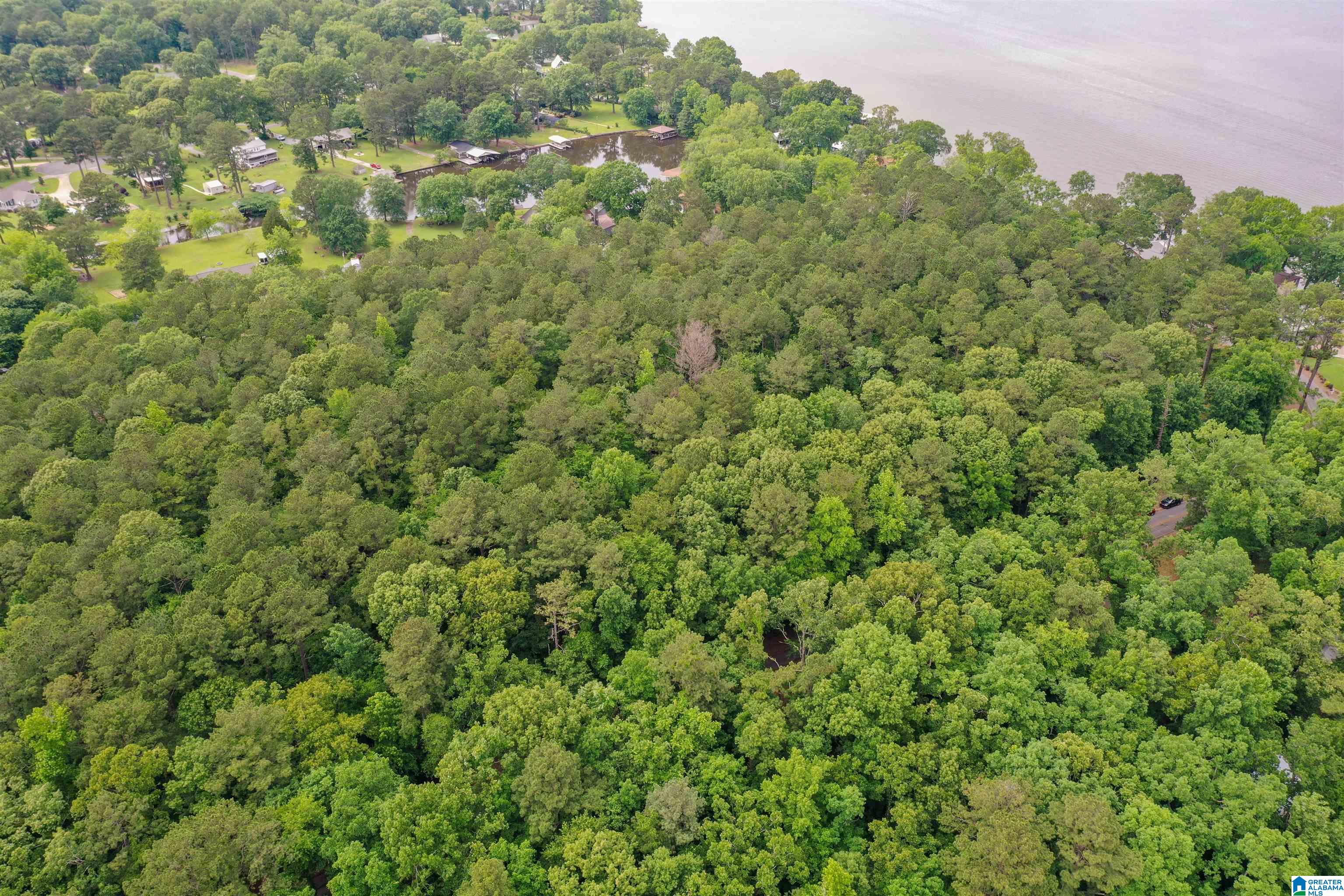 River Drive, Unit 33 Shelby, AL 35143 - Photo 8 of 25