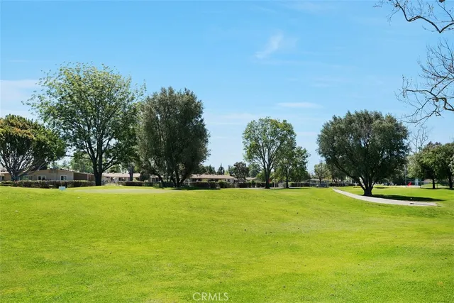 a view of a trees in a field