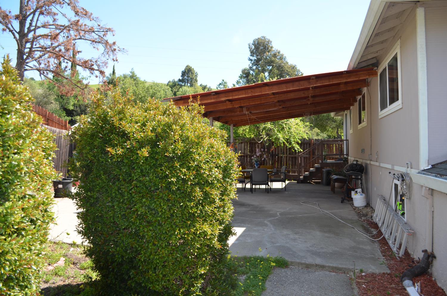208 Appian Way Union City, CA 94587 - Photo 12 of 38 a view of a backyard with plants and a large tree