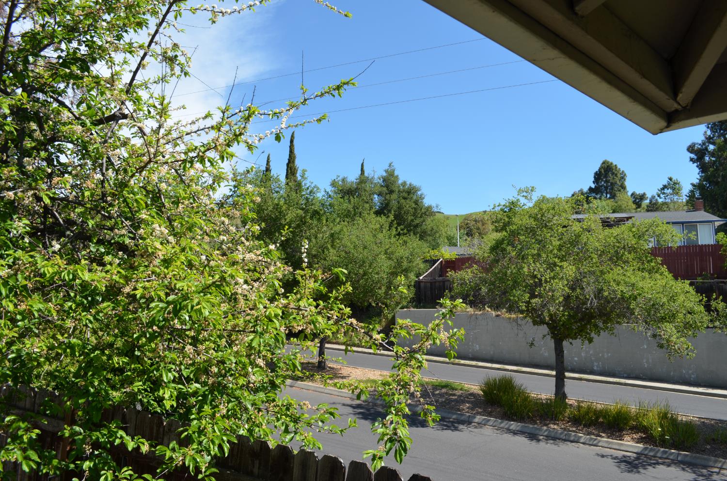 208 Appian Way Union City, CA 94587 - Photo 15 of 38 a backyard of a house with lots of green space