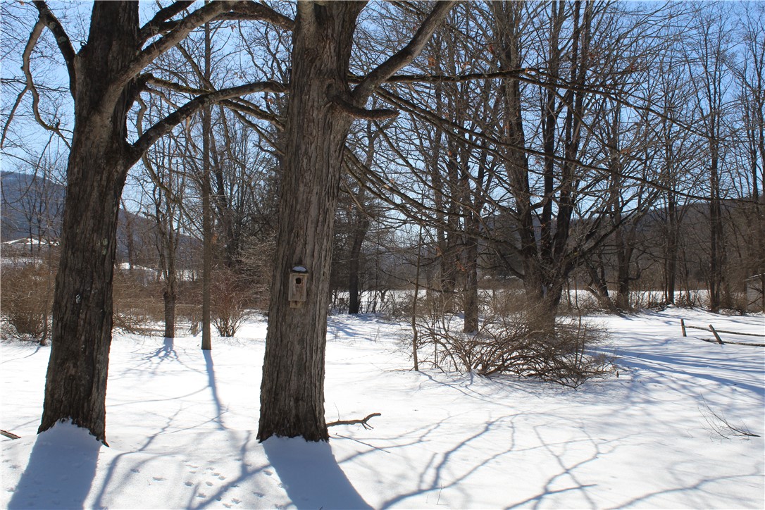 51 Bridge Street Roxbury, NY 12474 - Photo 5 of 35