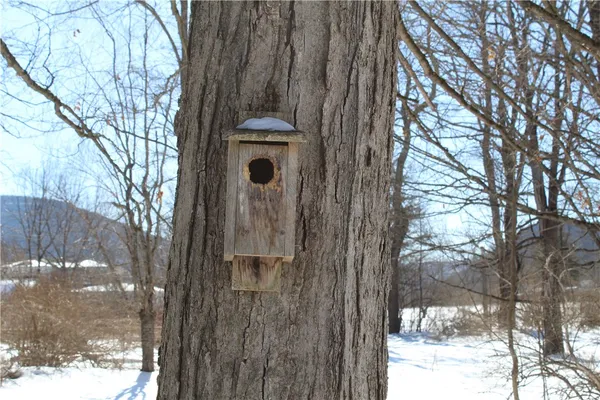 $410,000 | 51 Bridge Street, Roxbury, NY 12474