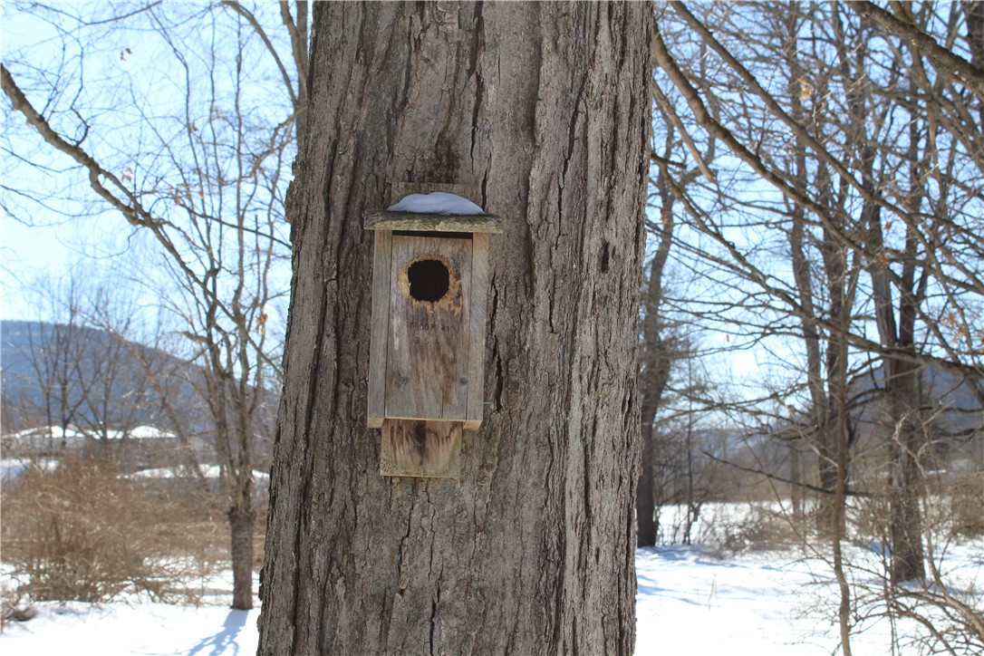 51 Bridge Street Roxbury, NY 12474 - Photo 6 of 35